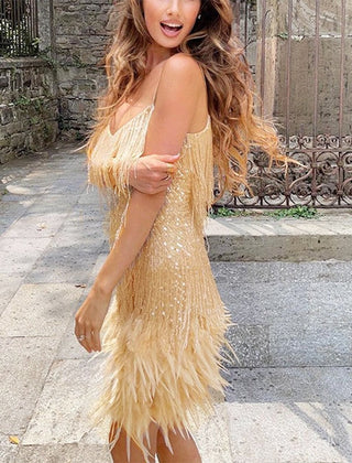 Women's Party Dress | Sequin Fringe Feather Trim