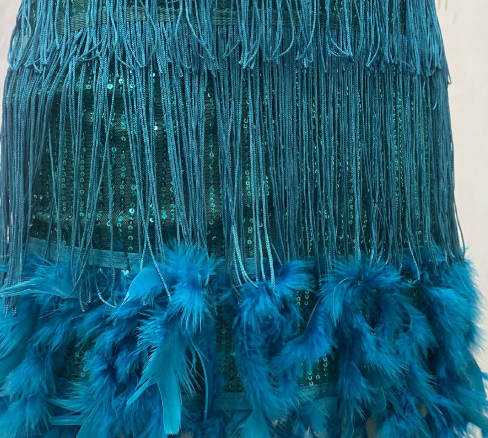 Women's Party Dress | Sequin Fringe Feather Trim