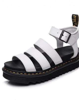 86292608254335